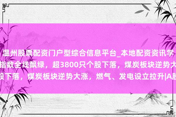 温州股票配资门户型综合信息平台_本地配资资讯学习与行情导航 A股主要指数全线飘绿，超3800只个股下落，煤炭板块逆势大涨，燃气、发电设立拉升|A股收盘